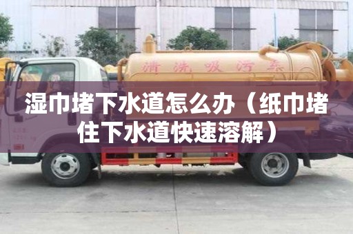 濕巾堵下水道怎么辦（紙巾堵住下水道快速溶解）