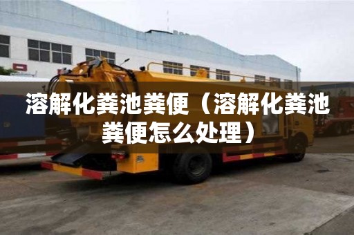 溶解化糞池糞便（溶解化糞池糞便怎么處理）