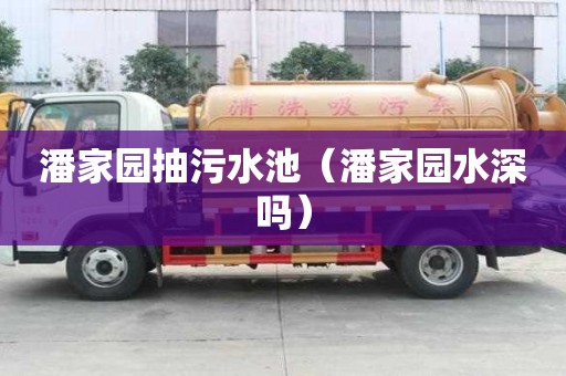 潘家園抽污水池（潘家園水深嗎）
