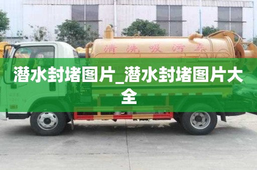 潛水封堵圖片_潛水封堵圖片大全