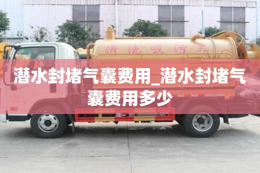 潛水封堵氣囊費用_潛水封堵氣囊費用多少