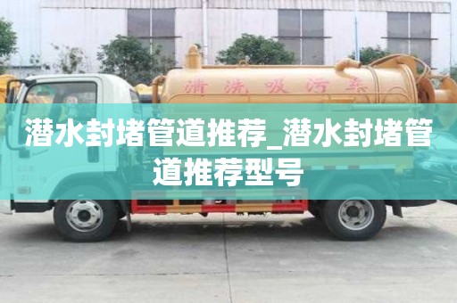 潛水封堵管道推薦_潛水封堵管道推薦型號(hào)