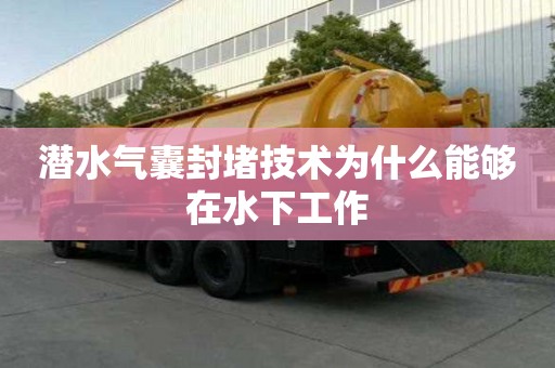 潛水氣囊封堵技術(shù)為什么能夠在水下工作