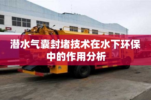 潛水氣囊封堵技術(shù)在水下環(huán)保中的作用分析