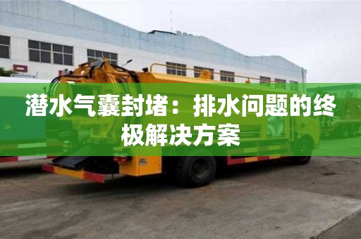 潛水氣囊封堵：排水問題的終極解決方案