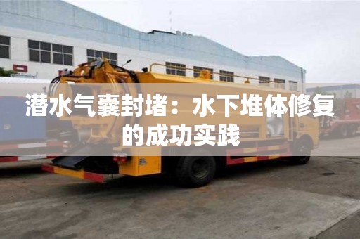 潛水氣囊封堵：水下堆體修復的成功實踐