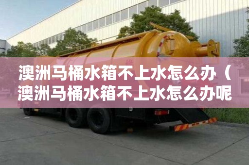 澳洲馬桶水箱不上水怎么辦（澳洲馬桶水箱不上水怎么辦呢）