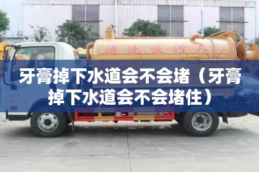 牙膏掉下水道會不會堵（牙膏掉下水道會不會堵住）