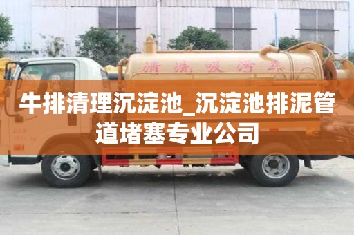 牛排清理沉淀池_沉淀池排泥管道堵塞專業公司