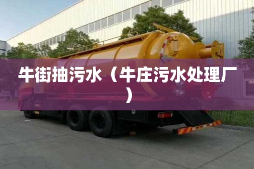 牛街抽污水（牛莊污水處理廠）