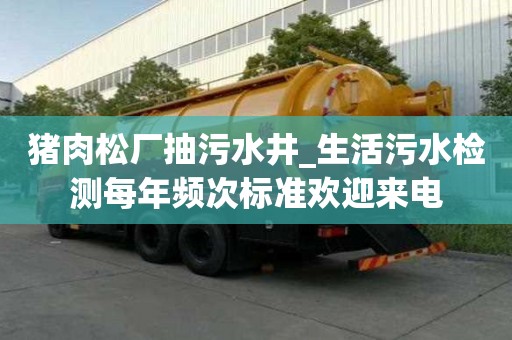 豬肉松廠抽污水井_生活污水檢測每年頻次標準歡迎來電