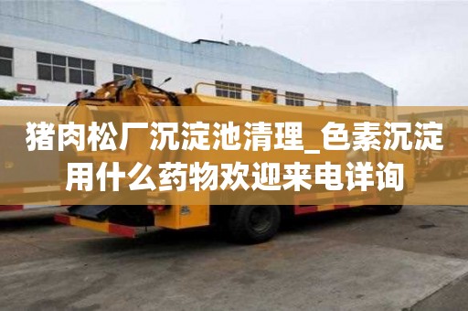 豬肉松廠沉淀池清理_色素沉淀用什么藥物歡迎來電詳詢
