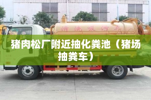 豬肉松廠附近抽化糞池（豬場抽糞車）