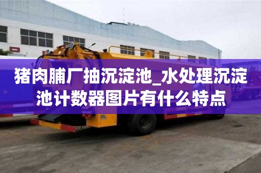 豬肉脯廠抽沉淀池_水處理沉淀池計數器圖片有什么特點