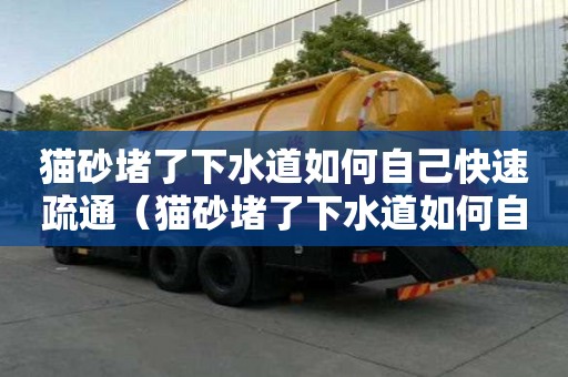 貓砂堵了下水道如何自己快速疏通（貓砂堵了下水道如何自己快速疏通）