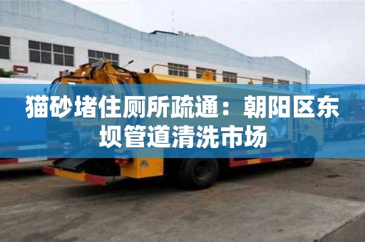 貓砂堵住廁所疏通：朝陽區東壩管道清洗市場