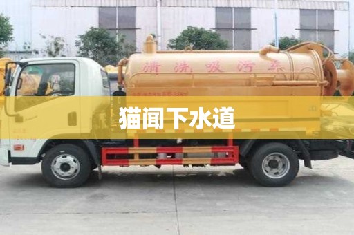 貓聞下水道