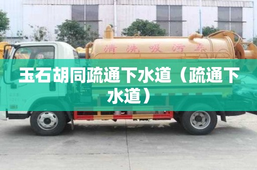 玉石胡同疏通下水道（疏通下水道）