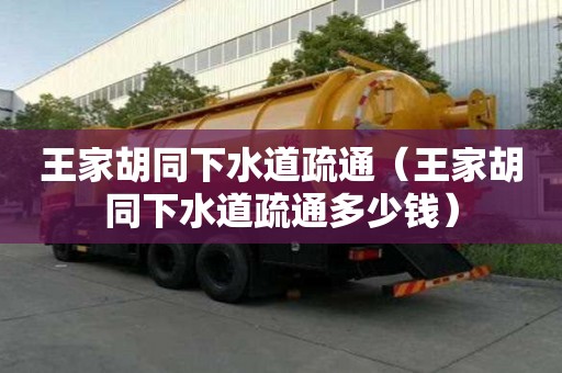 王家胡同下水道疏通（王家胡同下水道疏通多少錢）
