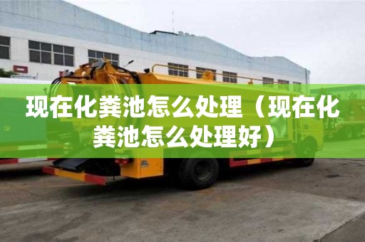 現在化糞池怎么處理（現在化糞池怎么處理好）