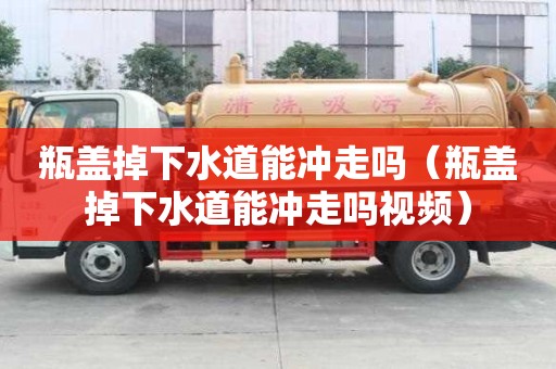 瓶蓋掉下水道能沖走嗎（瓶蓋掉下水道能沖走嗎視頻）