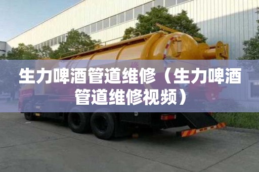 生力啤酒管道維修（生力啤酒管道維修視頻）
