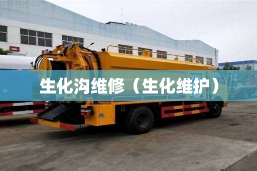 生化溝維修（生化維護）