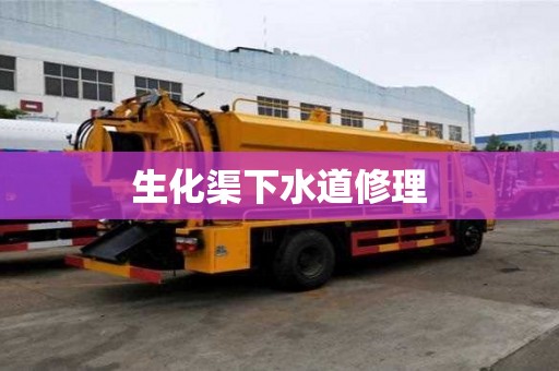 生化渠下水道修理