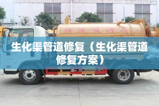 生化渠管道修復（生化渠管道修復方案）