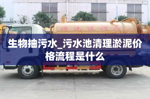 生物抽污水_污水池清理淤泥價(jià)格流程是什么