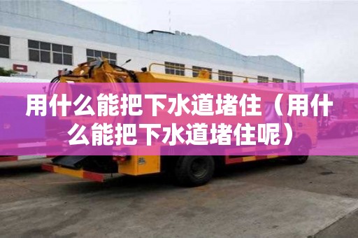 用什么能把下水道堵住（用什么能把下水道堵住呢）