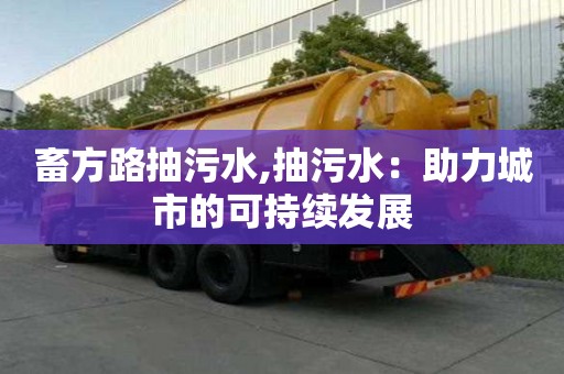 畜方路抽污水,抽污水：助力城市的可持續發展