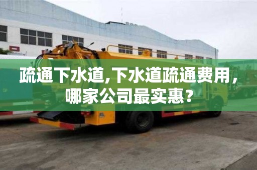 疏通下水道,下水道疏通費(fèi)用，哪家公司最實(shí)惠？