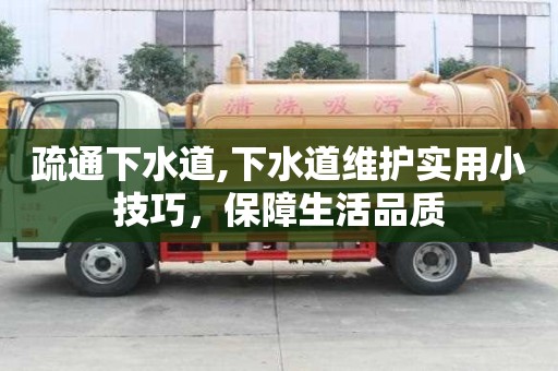 疏通下水道,下水道維護實用小技巧，保障生活品質