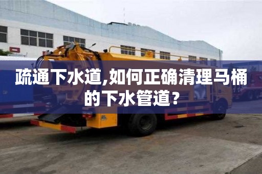 疏通下水道,如何正確清理馬桶的下水管道？