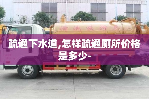 疏通下水道,怎樣疏通廁所價格是多少-