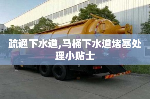 疏通下水道,馬桶下水道堵塞處理小貼士