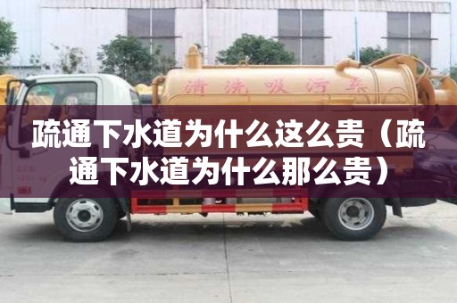 疏通下水道為什么這么貴（疏通下水道為什么那么貴）