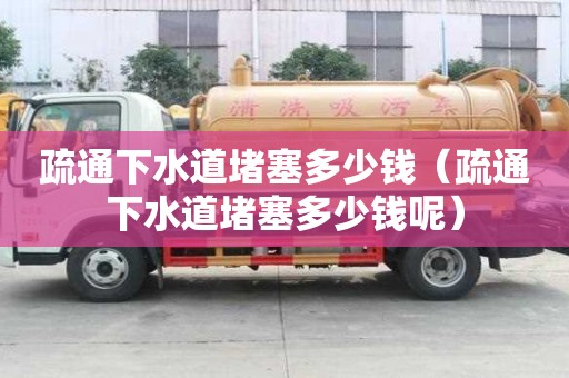 疏通下水道堵塞多少錢（疏通下水道堵塞多少錢呢）