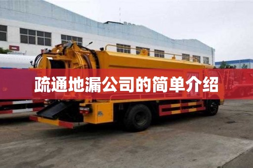 疏通地漏公司的簡單介紹
