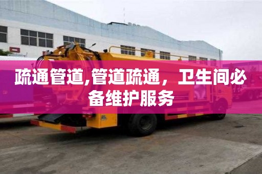 疏通管道,管道疏通，衛(wèi)生間必備維護服務(wù)