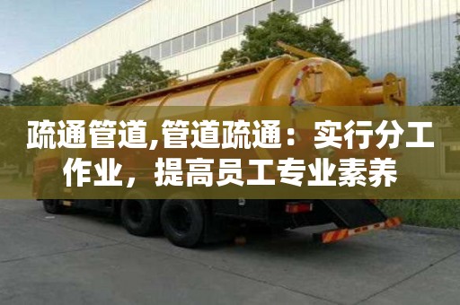 疏通管道,管道疏通：實(shí)行分工作業(yè)，提高員工專業(yè)素養(yǎng)