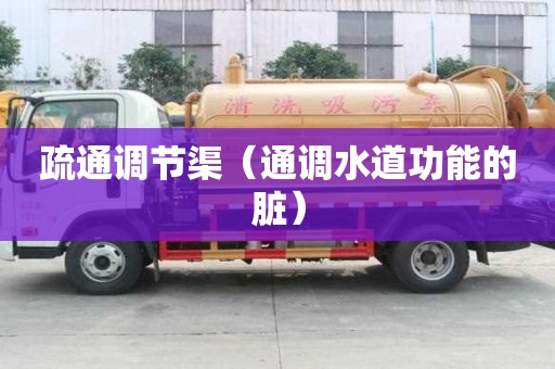 疏通調節渠(通調水道功能的臟) 疏通調節渠(通調水道功能的臟)