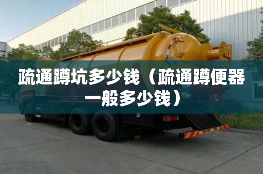 疏通蹲坑多少錢（疏通蹲便器一般多少錢）