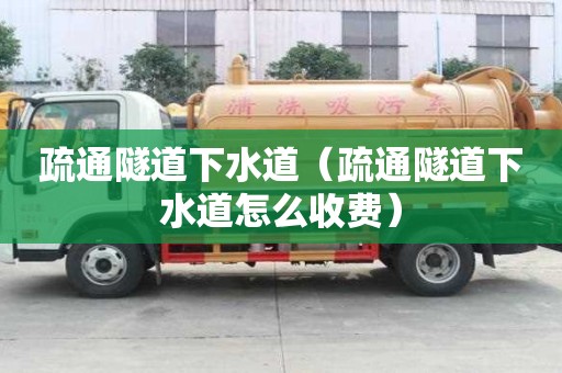 疏通隧道下水道（疏通隧道下水道怎么收費）