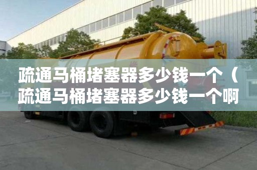 疏通馬桶堵塞器多少錢一個（疏通馬桶堵塞器多少錢一個啊）