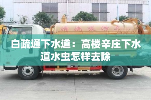 白疏通下水道：高樓辛莊下水道水蟲怎樣去除