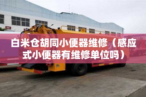 白米倉胡同小便器維修（感應式小便器有維修單位嗎）