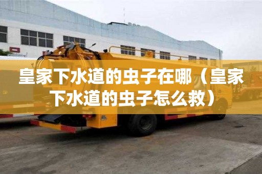 皇家下水道的蟲子在哪（皇家下水道的蟲子怎么救）