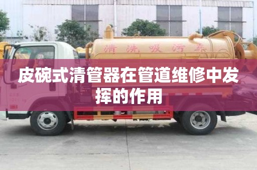 皮碗式清管器在管道維修中發揮的作用